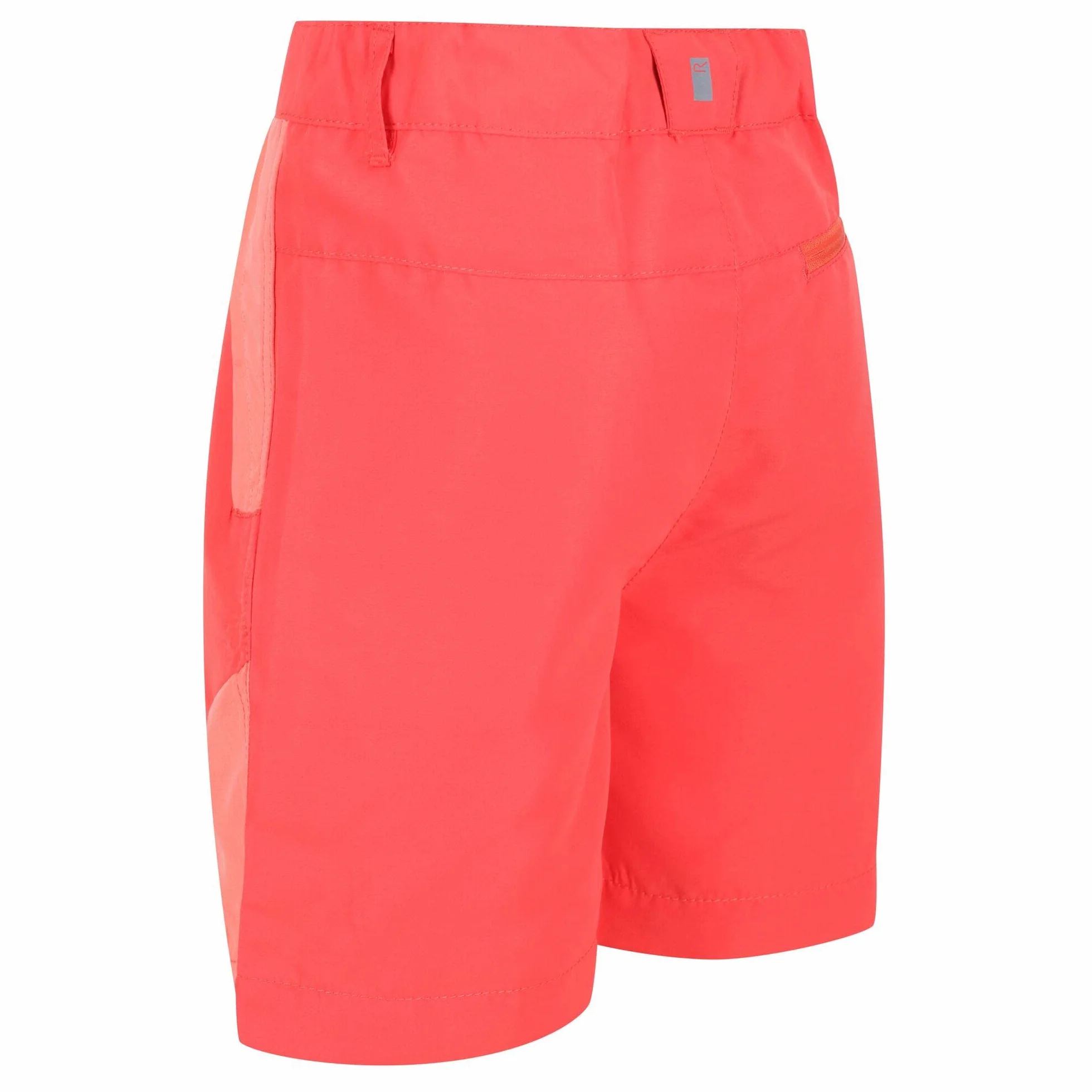 Regatta Sorcer Mountshtii Pants Unisex