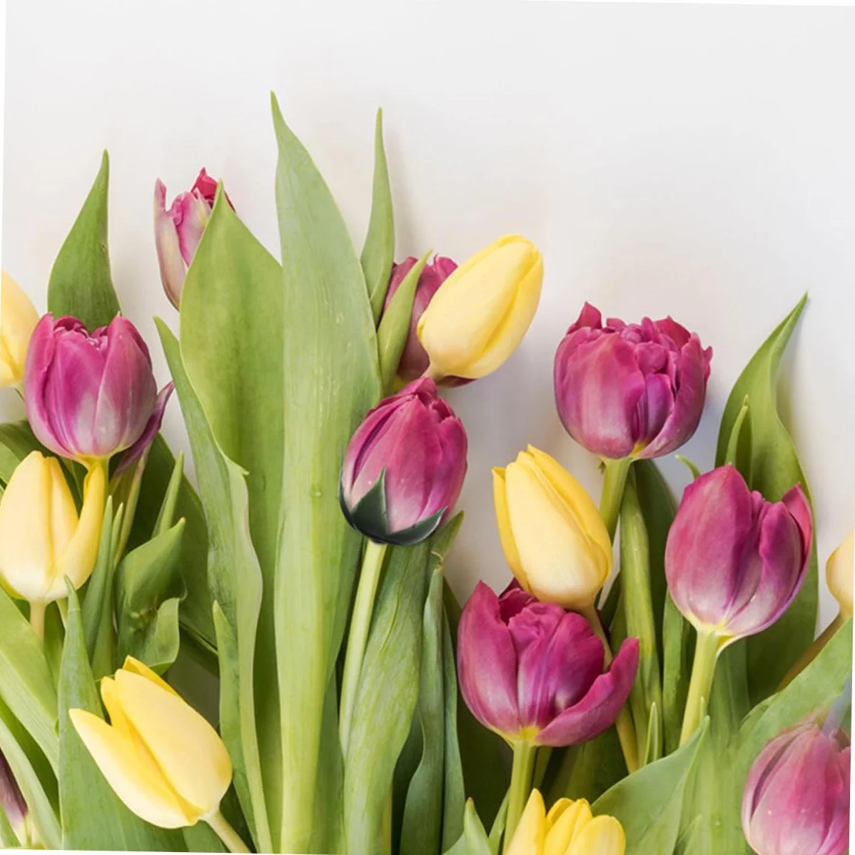 Calici di Fiori Artificiali 30 Pezzi in Plastica Resistente per Composizioni Floreali Fai da Te Decorazioni Casa e Negozi di Fiori