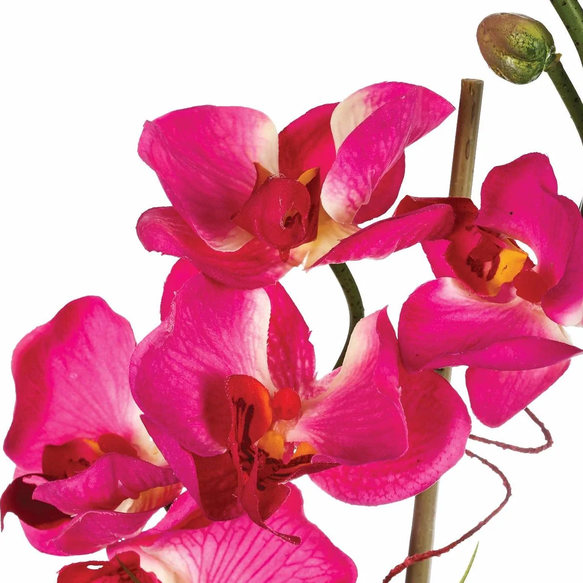 ATMOSPHERA CREATEUR D'INTERIEUR - Composizione di orchidee artificiali in vaso di vetro H37cm