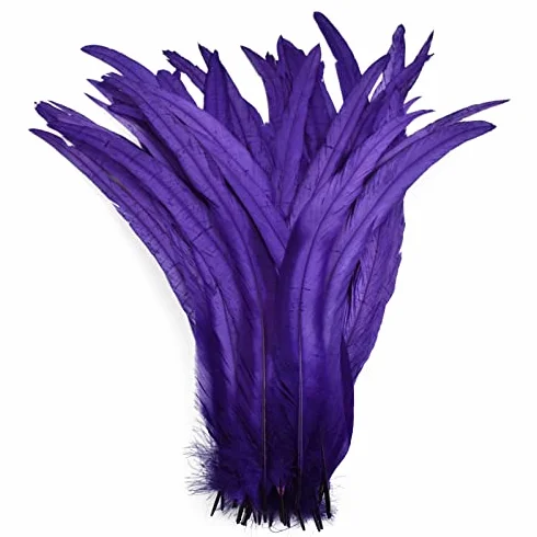 Piume di Gallo Colorate 100 Pezzi Artigianato Materiali Legatura Fagiano Lungo Decorazione Nozze Carnevale