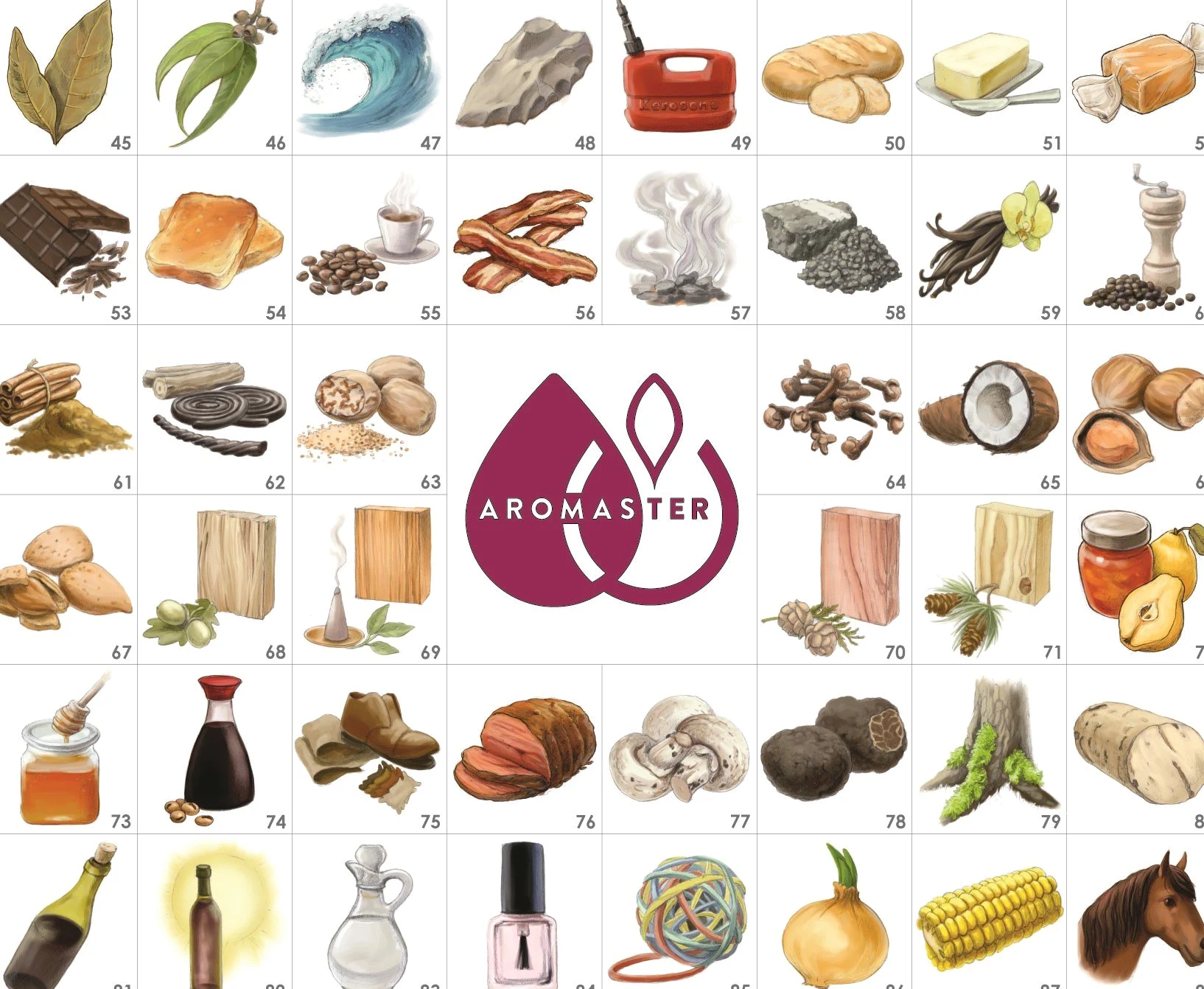 Kit Maestro Aromi del Vino - 88 aromi (inc. Ruota degli Aromi del Vino)