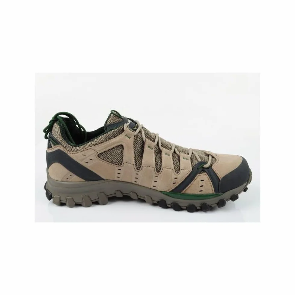 Scarpa da Trekking Bassa AKU Alterra Lite GTX Uomo