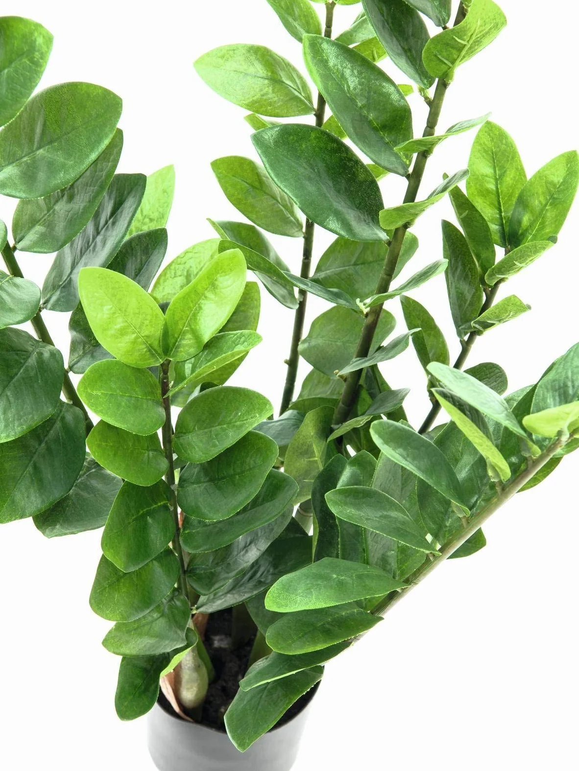 artplants.de Gemma di Zanzibar Artificiale (Zamioculcas zamilifolia), in Vaso, 7 Rami, 70cm - Cespuglio Artificiale/Pianta Ufficio
