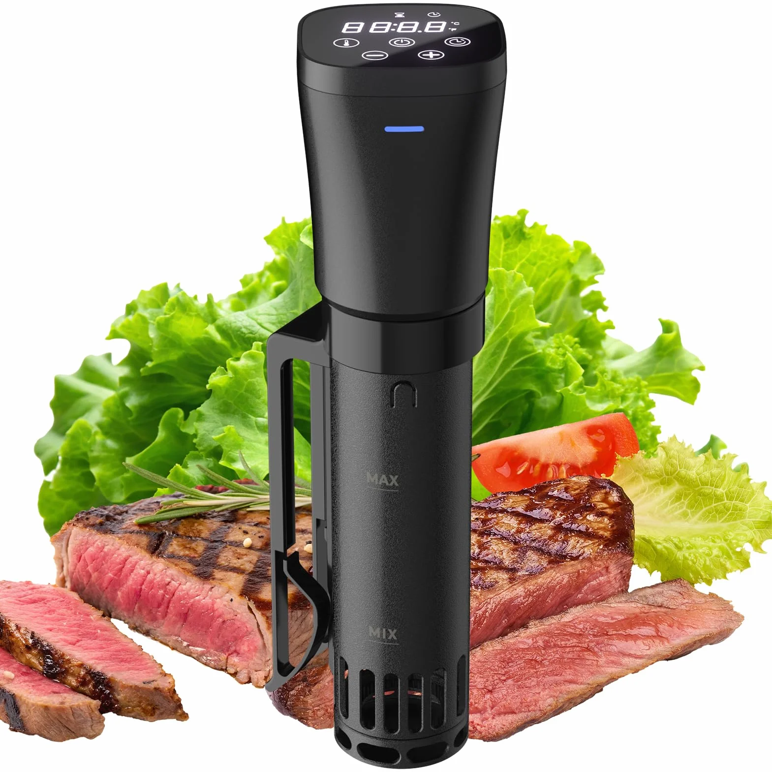 Sous Vide Roner 1000W Cucina a Bassa Temperatura Circolatore Termico Professionale