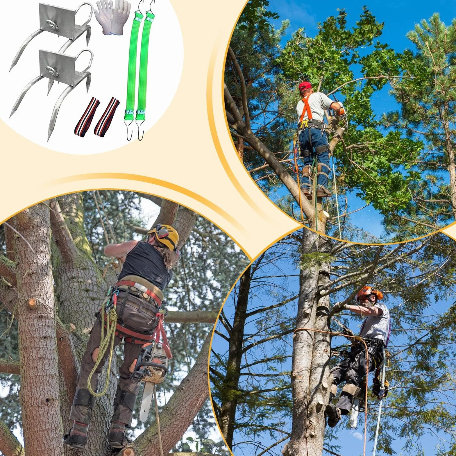Punte per arrampicata su alberi, scarpe da artiglio di gatto, punte per arrampicata su alberi, attrezzatura da esterno sicura con regolabile per adulti adolescenti uomini arboricoltori