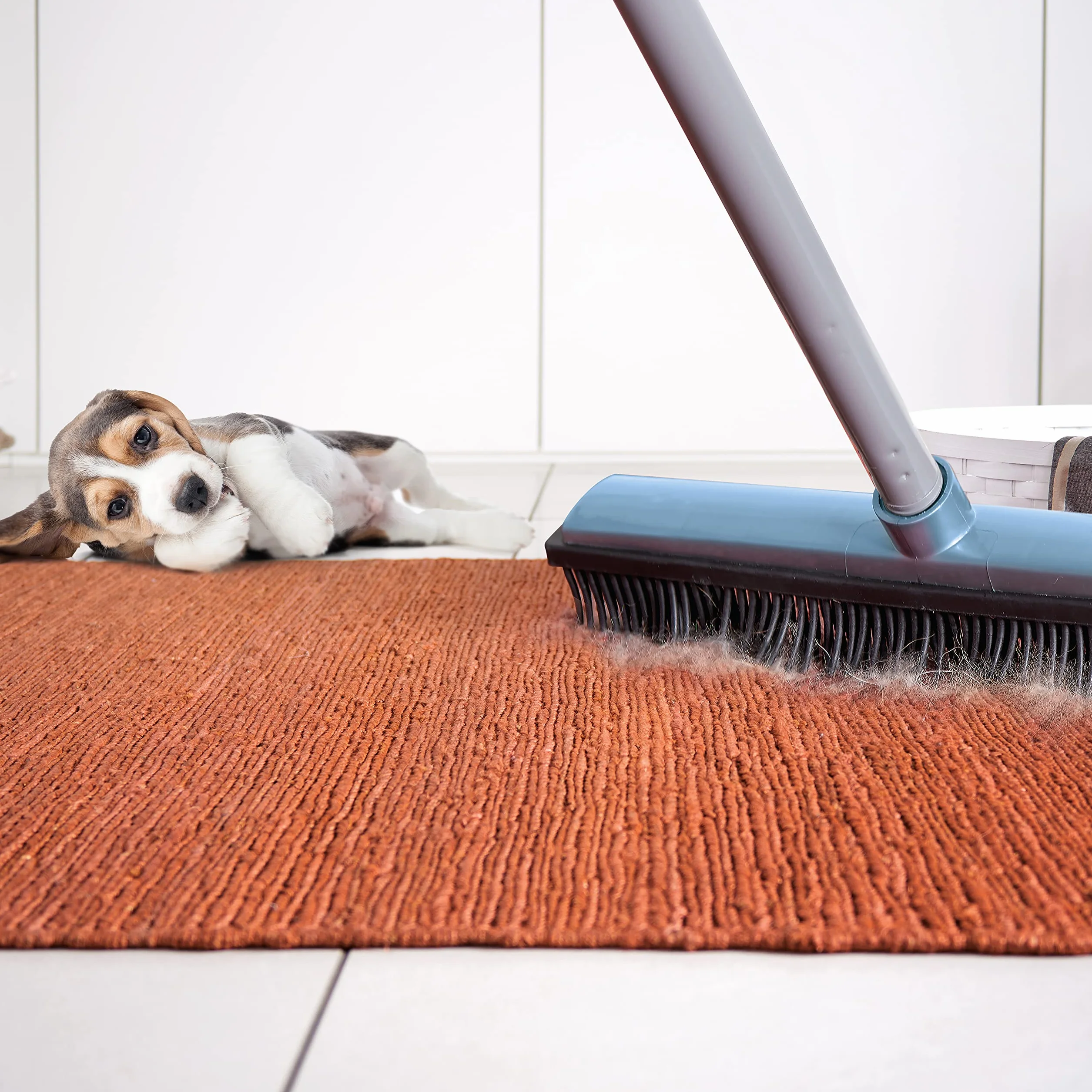 Perfetto Scopa in Gomma per Tappeti e Pavimenti cm 32