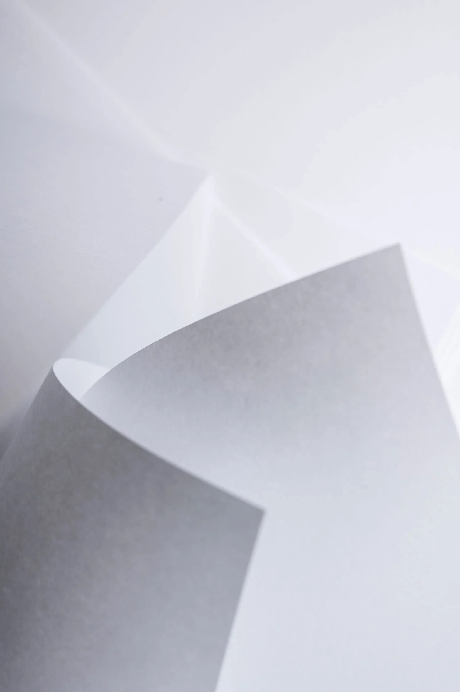 Favini A670123 Rismaluce colore BIANCO 100 cartoncini 240 g A3 (29,7x42 cm) Made in Italy