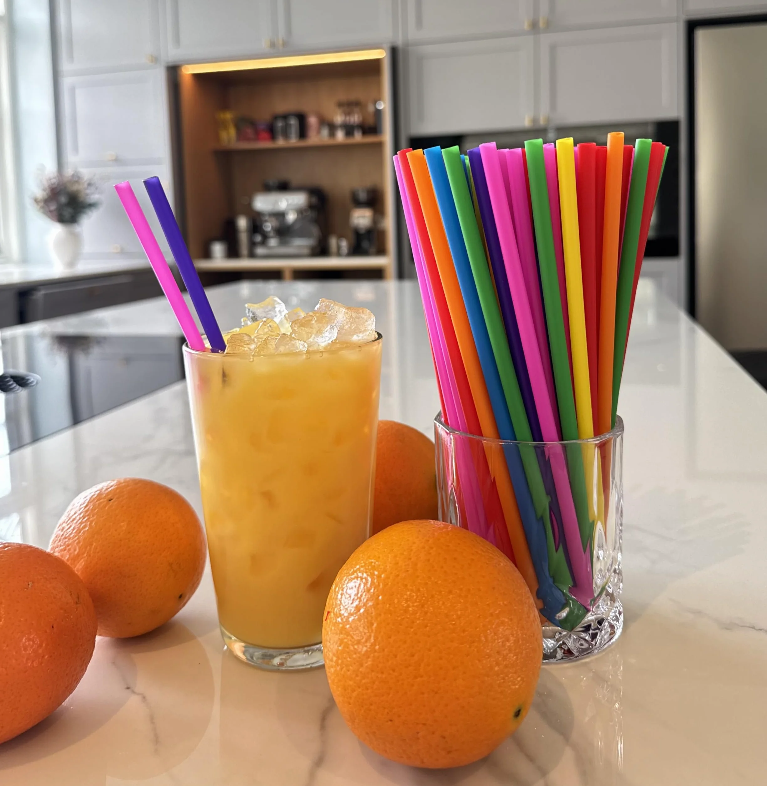 Cannucce Riutilizzabili Multicolore Greenland 21 cm 6 mm con Scovolino per Cocktail Latte Succhi Tè