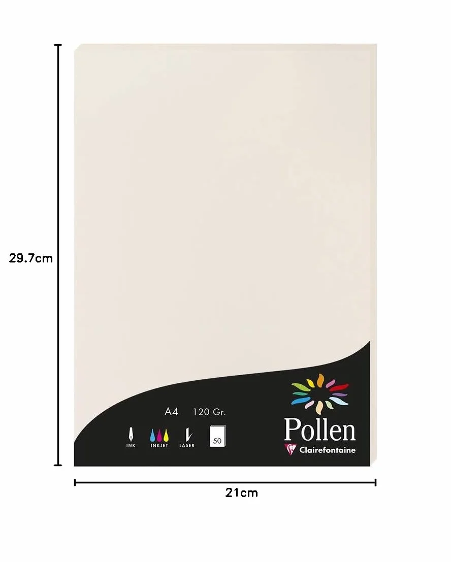 Clairefontaine Pollen Astuccio Carta Premium 50 fogli A4 120g/m² Grigio perla