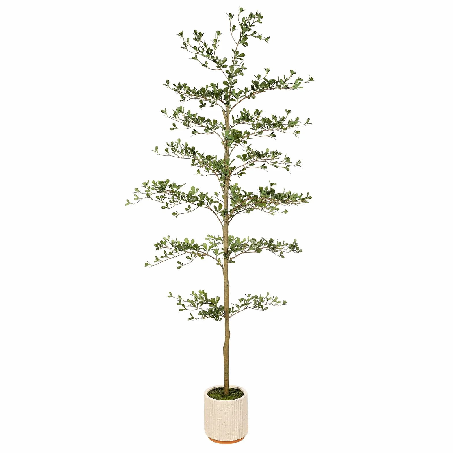 FEELEAD Albero di ulivo finto nero, 2,1 m, realistico albero di olivo nero con vaso da interni finti ulivi neri con rami naturali e foglie realistiche per la decorazione di casa e ufficio