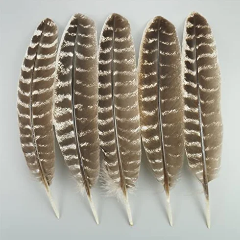 Naturali Piume D'aquila RAEF 10 Pz per Artigianato Decorazione Copricapo Carnevale