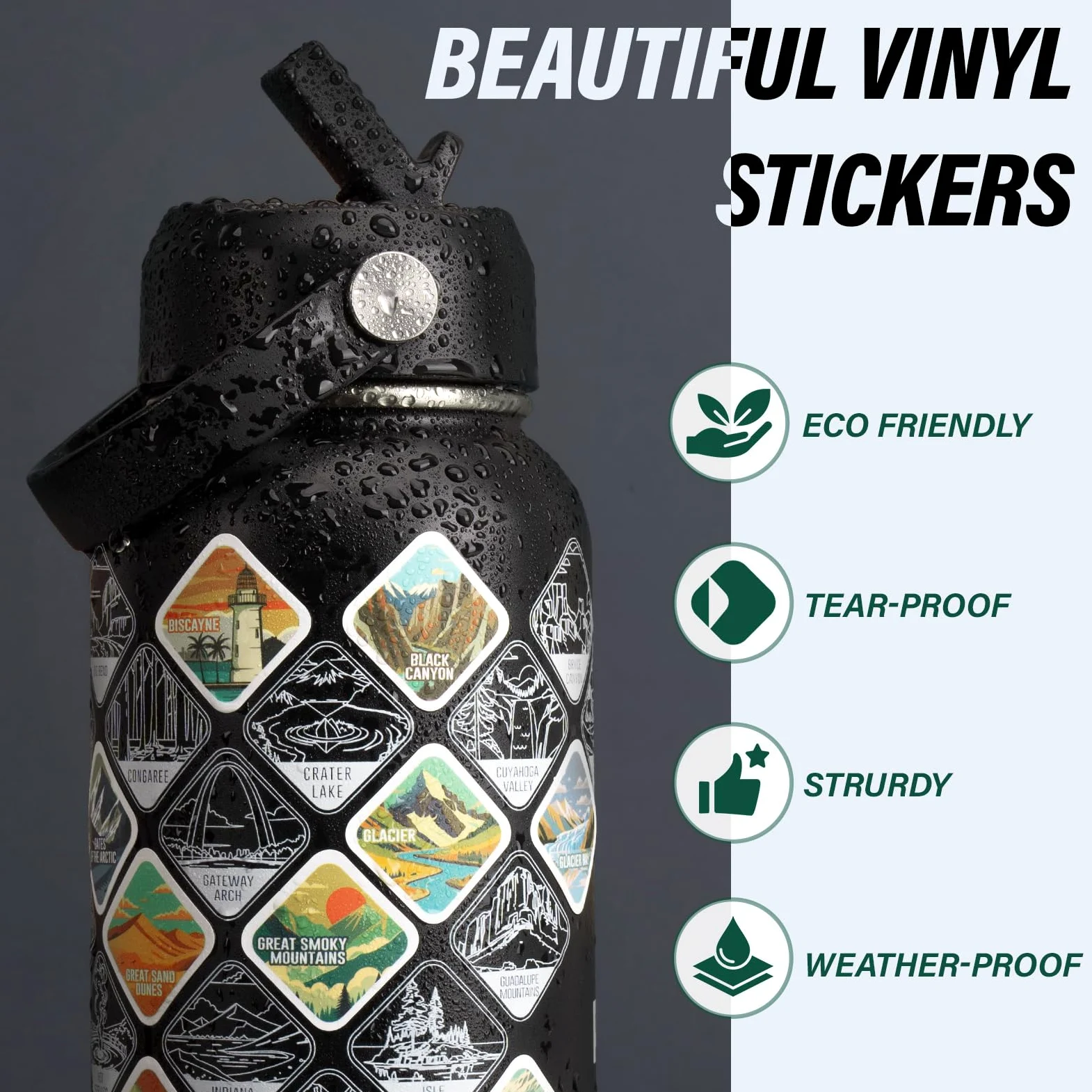 DYSANKY National Parks - Borraccia termica in acciaio inox da 907 ml, con 63 adesivi disegnati a mano, accessori per esterni e confezione regalo, senza BPA, ideale per escursioni, campeggio e viaggi