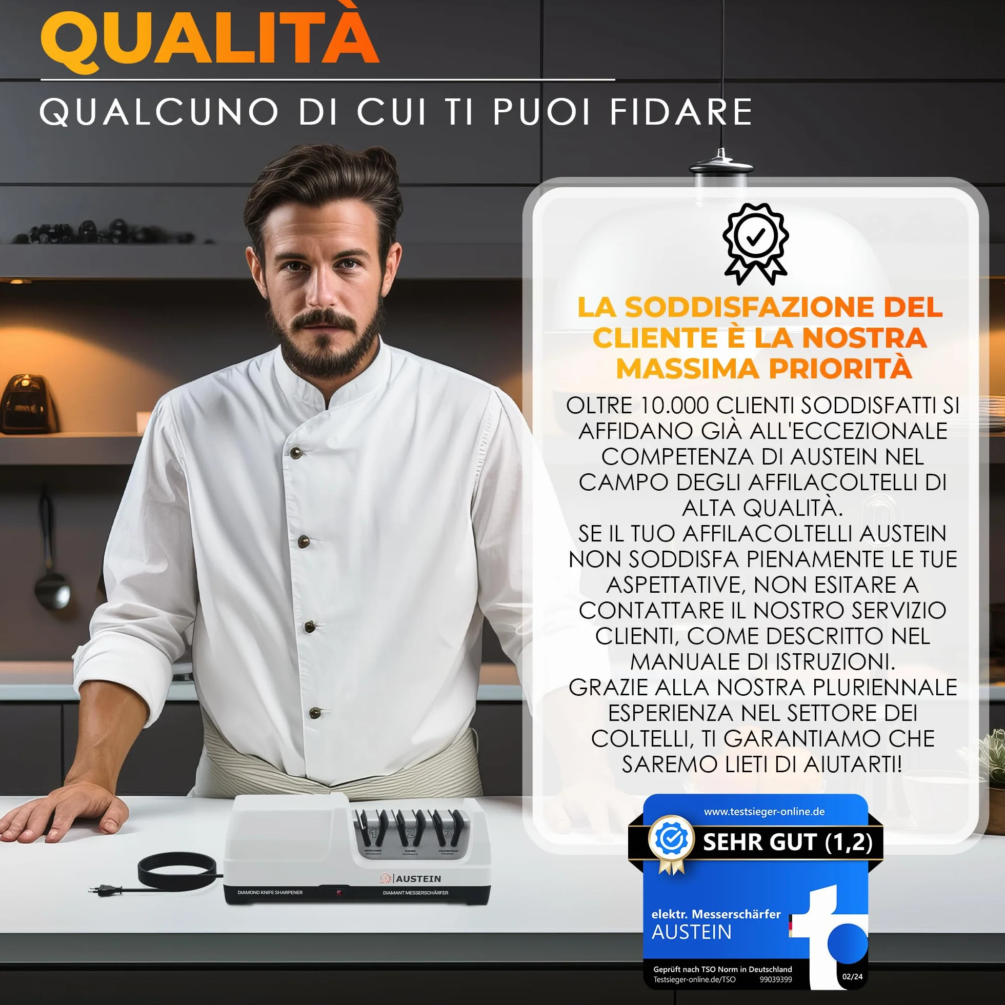 AUSTEIN Affilacoltelli Elettrico Professionale TG2202 Diamante Mole Monocristalline Motore Silenzioso