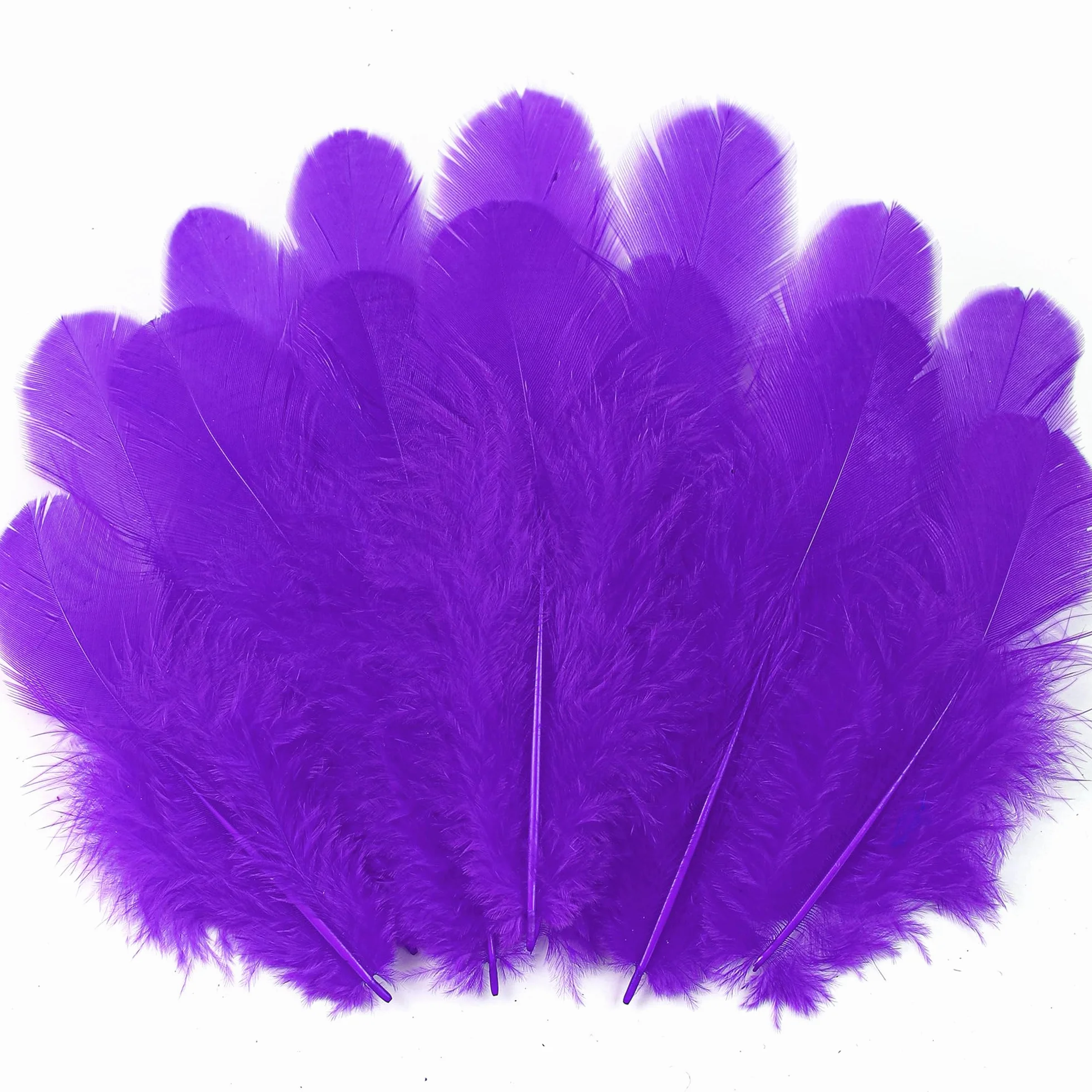 Piume viola per artigianato 300 pezzi 7,6-12,7 cm per matrimoni feste acchiappasogni fai da te