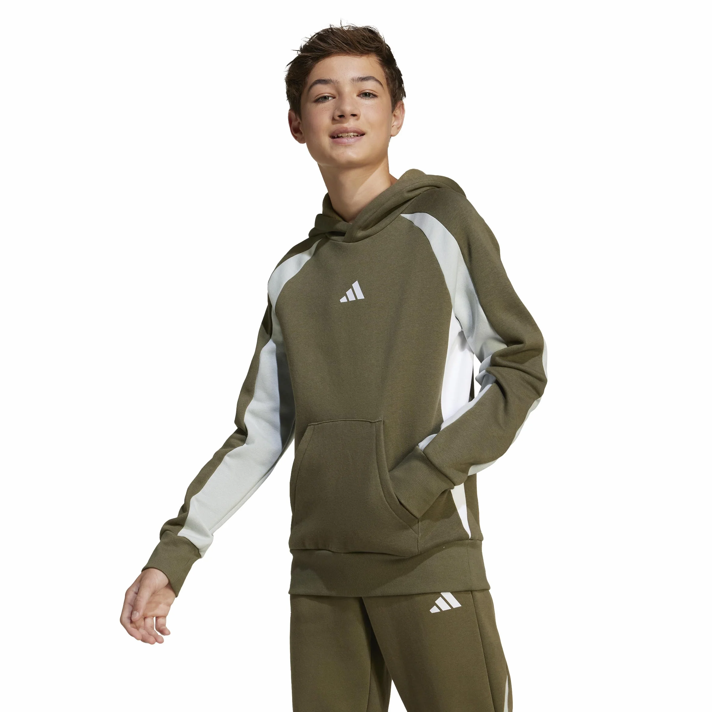 adidas Seasonal Essentials Colorblock Fleece Hoodie