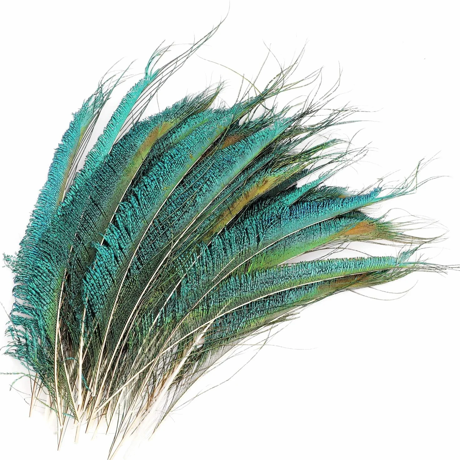 Piume di Pavone Decorative Naturali 30 Pezzi 25-30cm, MWOOT Accessori per Capelli DIY Carnevale