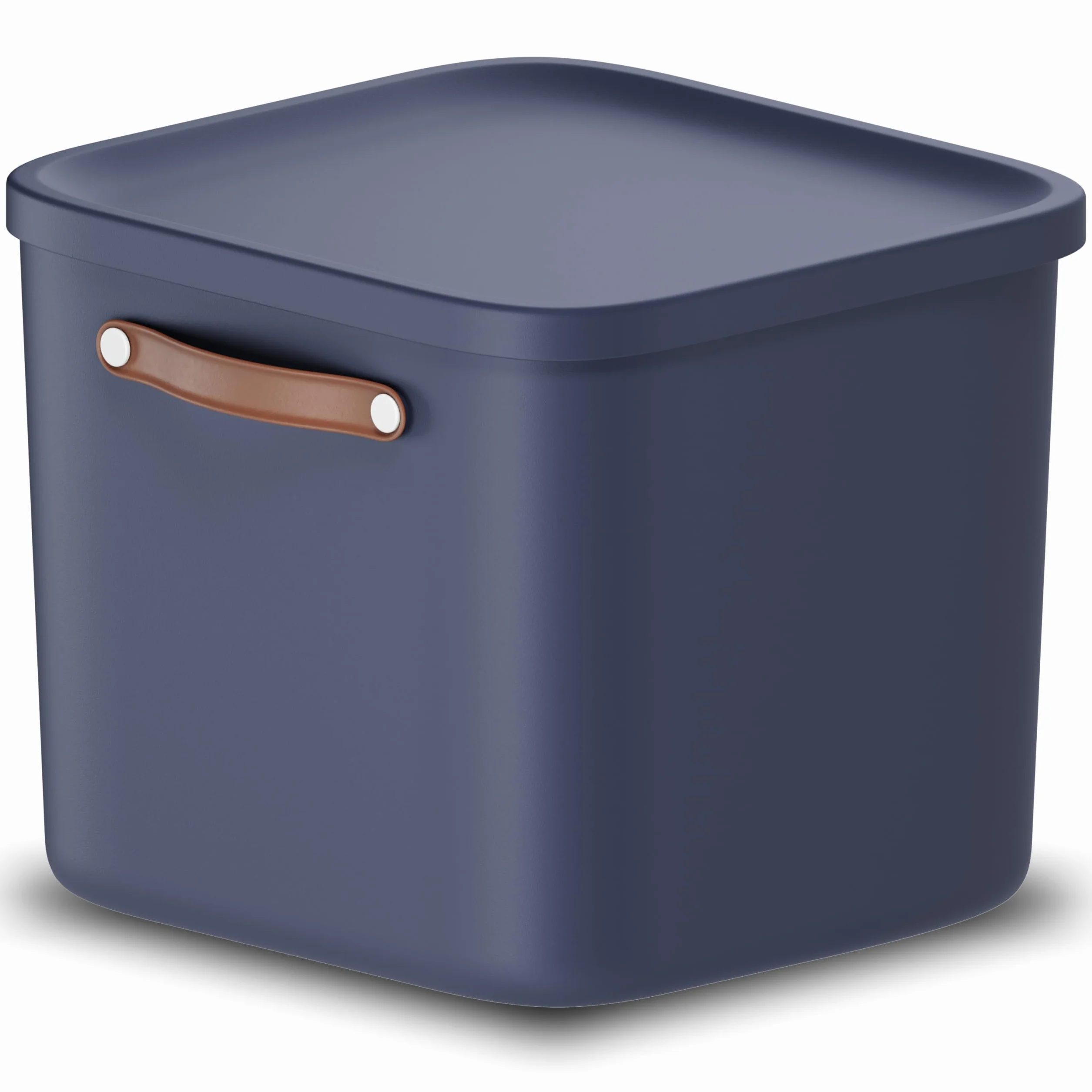Rotho Maloja Scatola di stoccaggio 40 l Plastica PP riciclato 39.5 x 38.0 x 34.0 cm