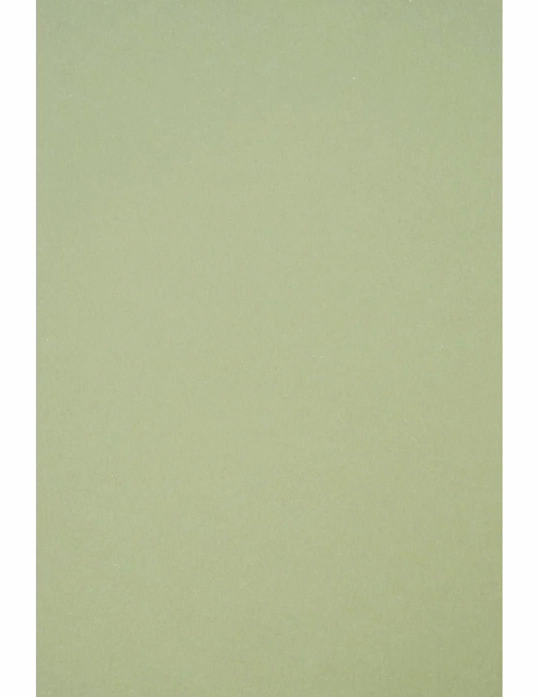 Netuno cartoncino ecologico A4 250g Crush Kiwi carta riciclata colorata naturale