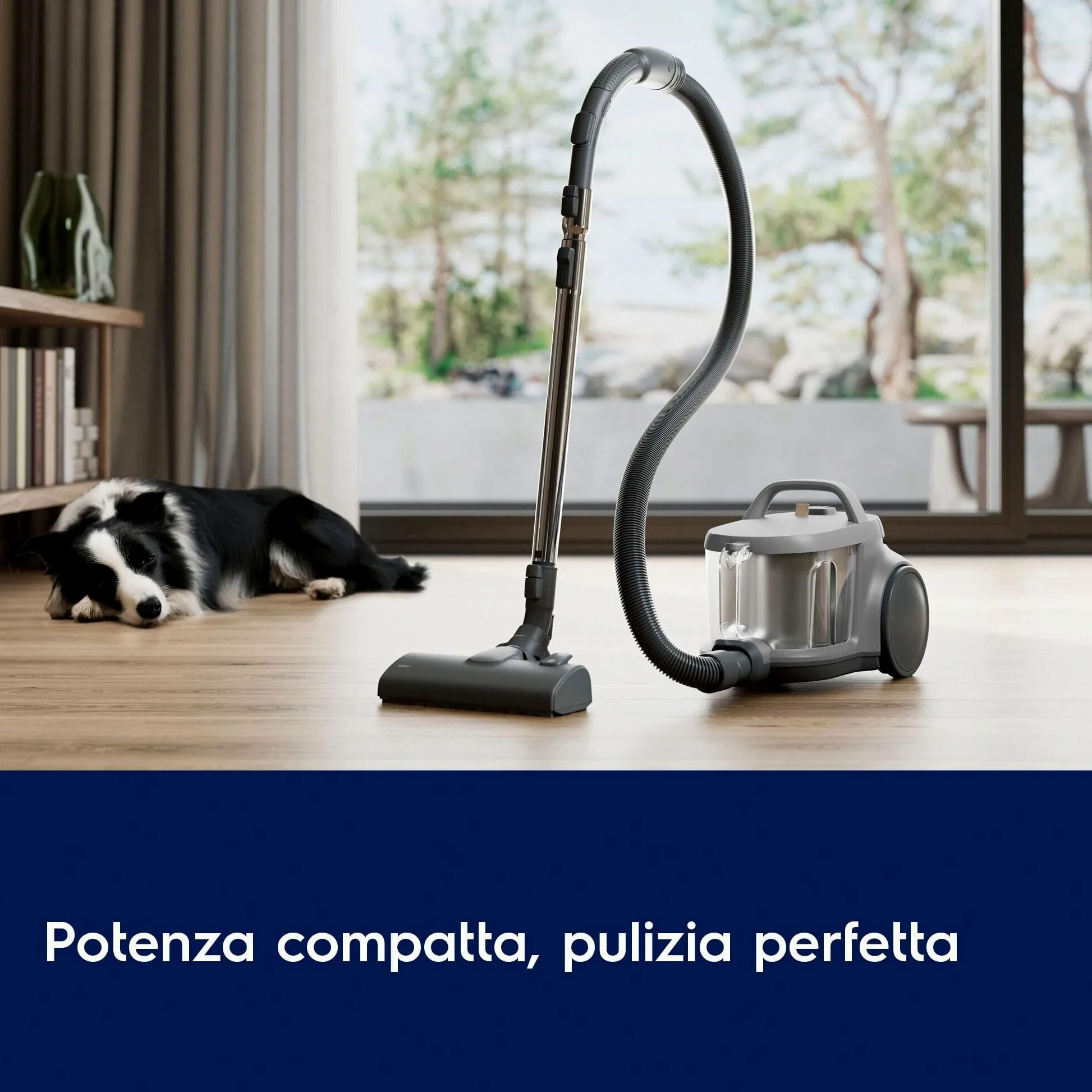 Electrolux Animal 500 Aspirapolvere a Traino Senza Sacco, EL51A2UG, Spazzola Turbo per Peli di Animali, Tecnologia ciclonica, Capacitá 2 Litri, Filtro HEPA, 78 dB(A), Grigio