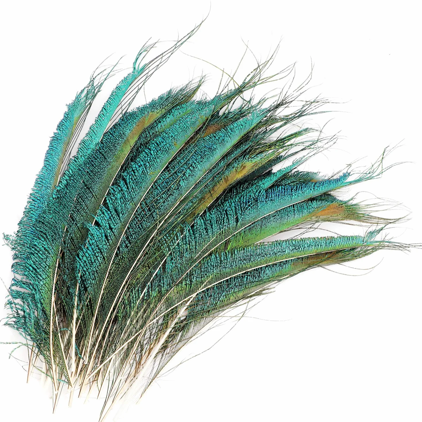 Piume di Pavone 30 Pezzi Naturali, Piume di Spada di Pavone 25-35cm per Decorazione DIY Carnevale Halloween Artigianato
