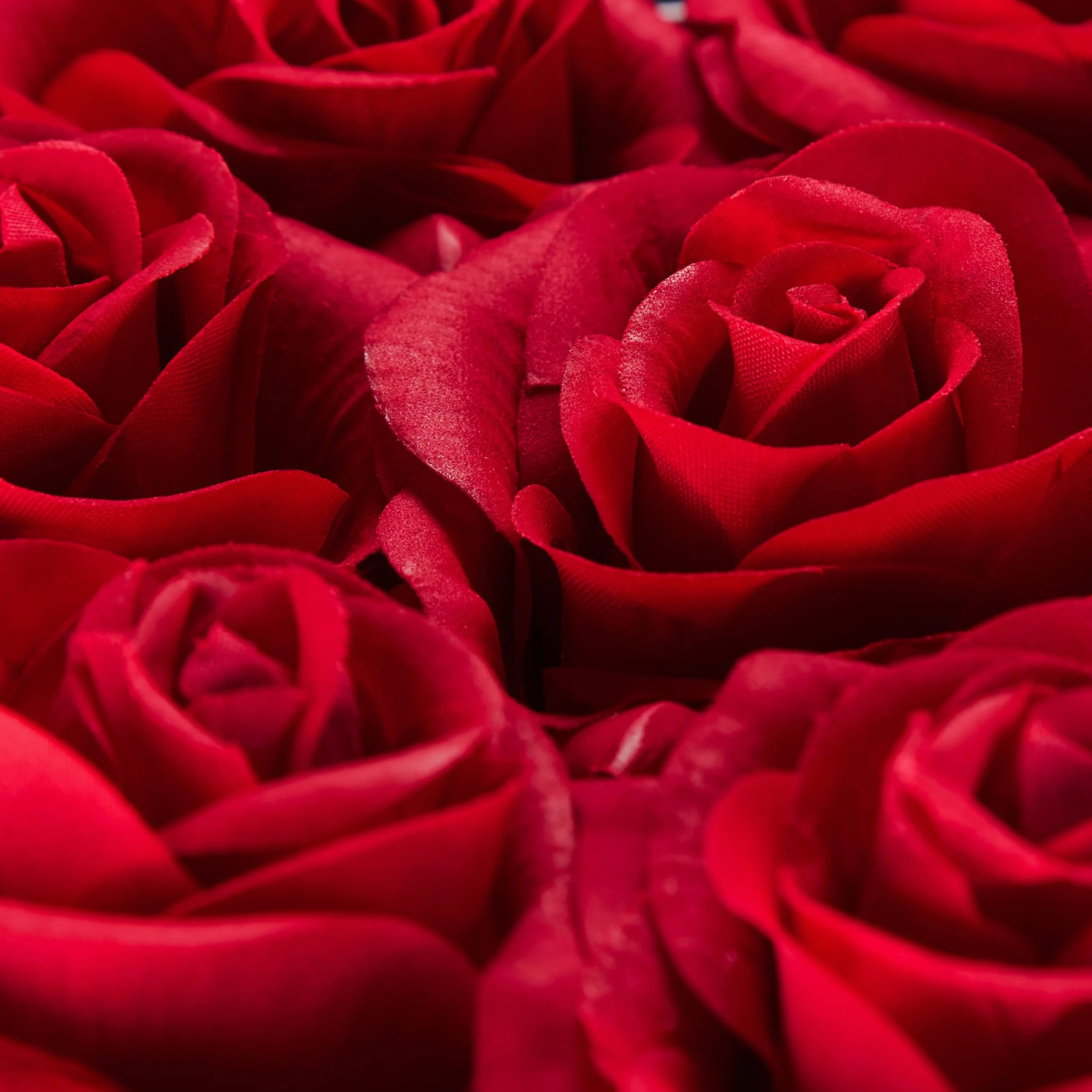 Relaxdays Box di Rose a Forma di Cuore, 18 Rose, Nero, Resistente 10 Anni, Idea Regalo, Box Decorativo, rossi