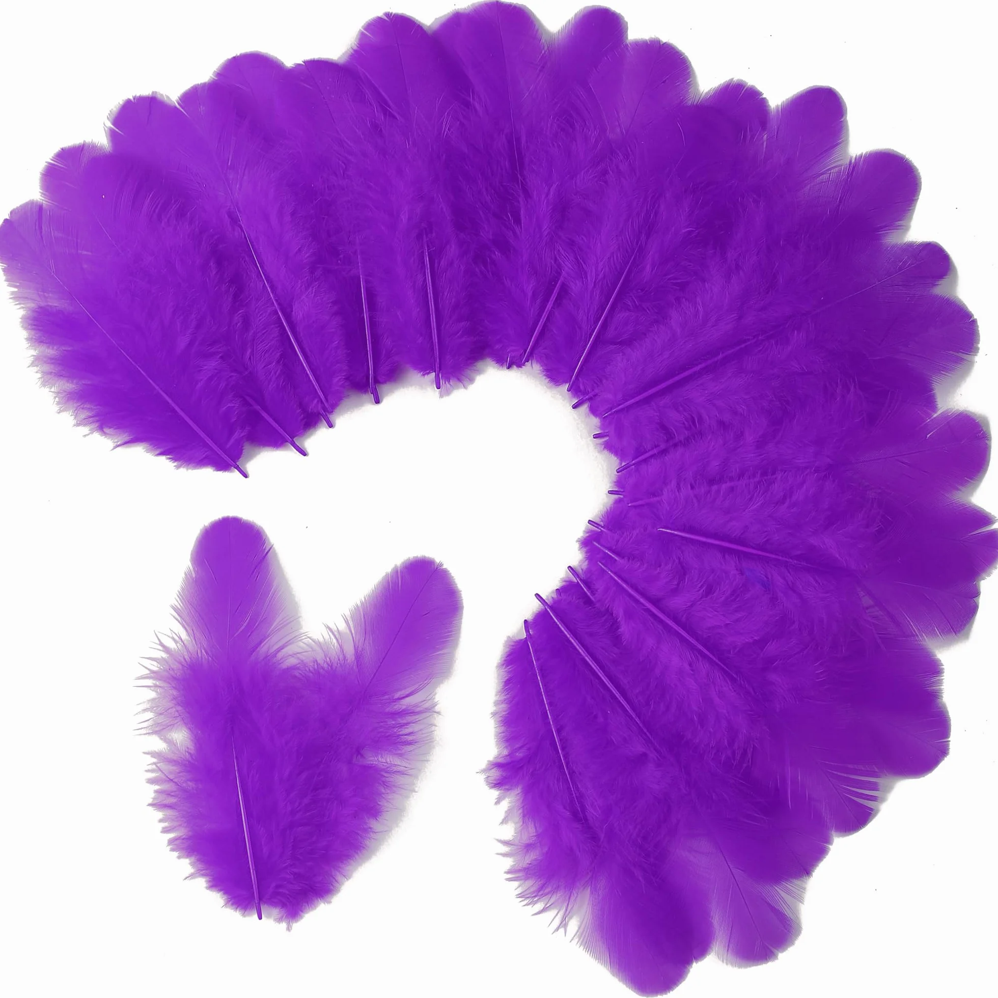 Piume viola per artigianato 300 pezzi 7,6-12,7 cm per matrimoni feste acchiappasogni fai da te